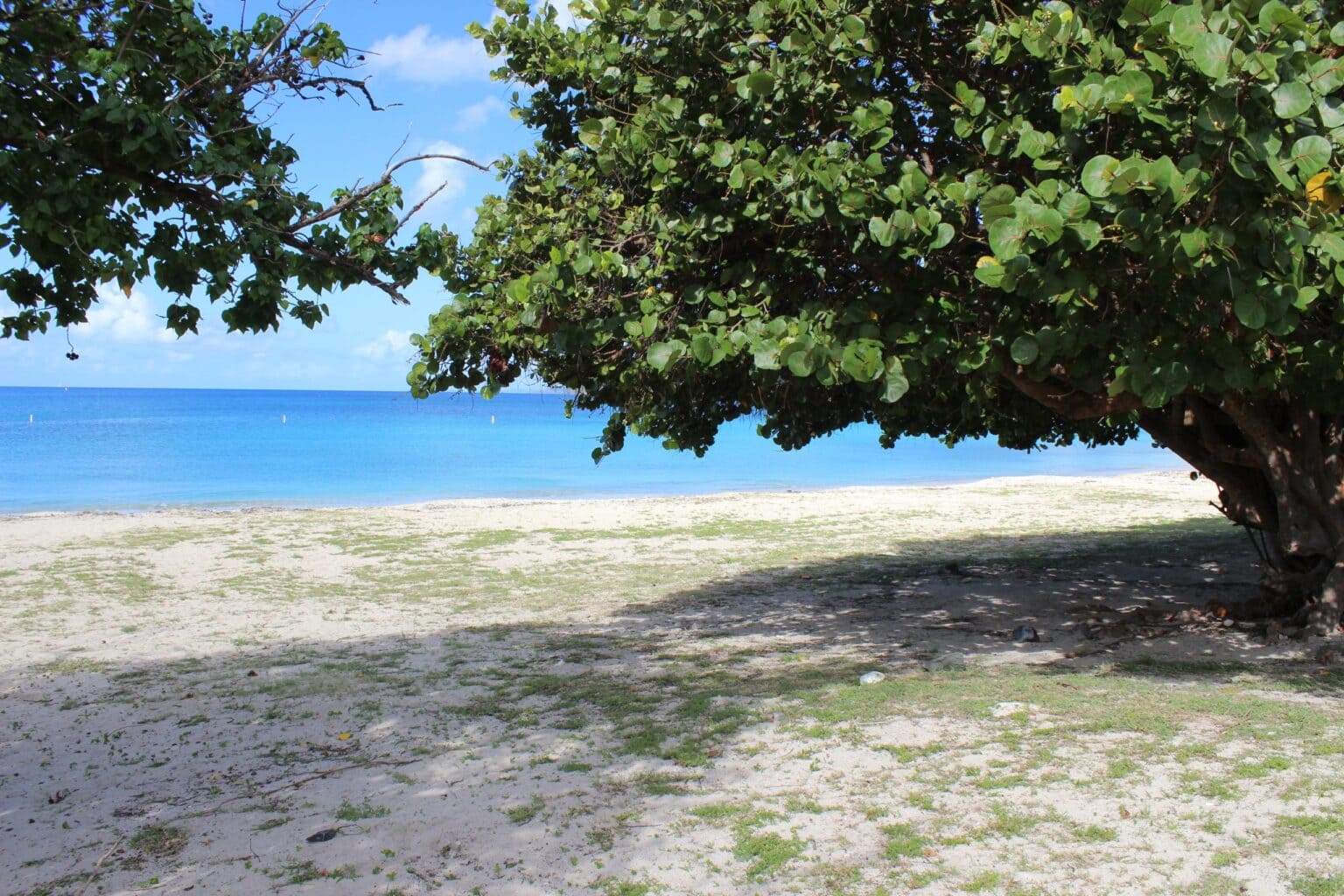 Brewers Beach St. Thomas, USVI Copyright Philo Villas 2022