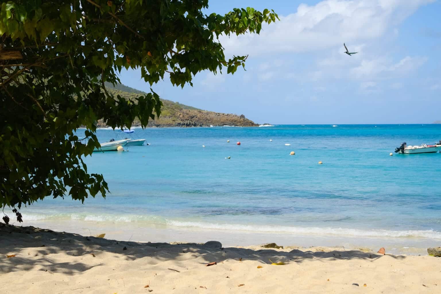 Hull Bay beach St. Thomas, USVI Photo by David Enloe