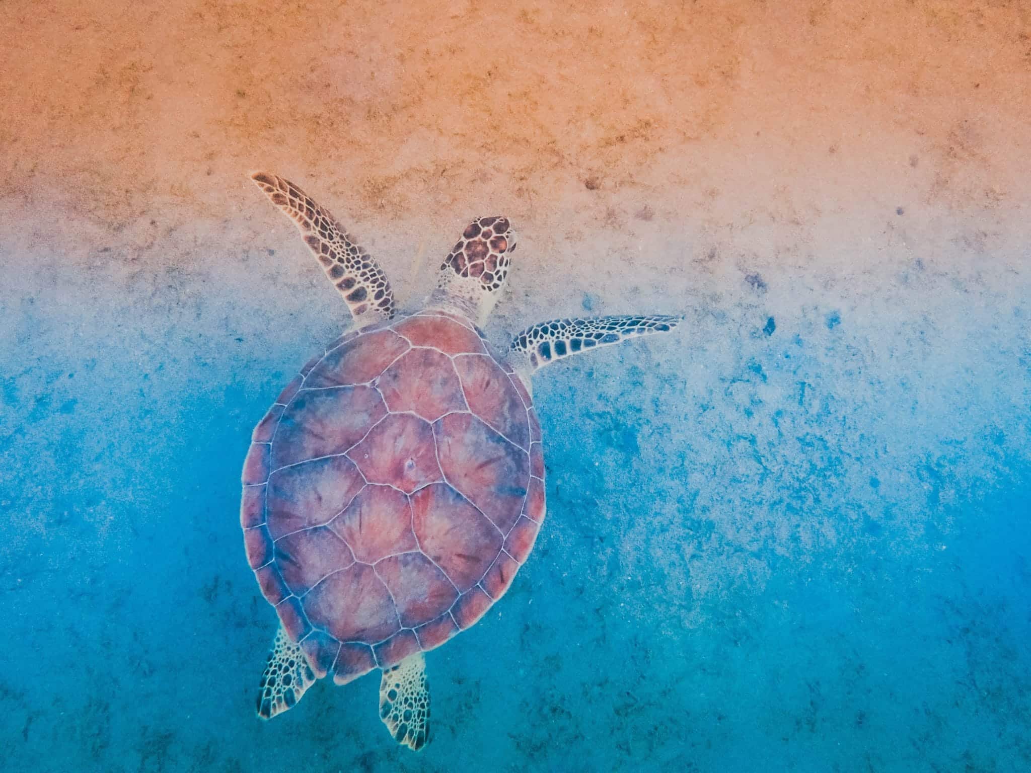 The Best 7 Beaches in St. Thomas