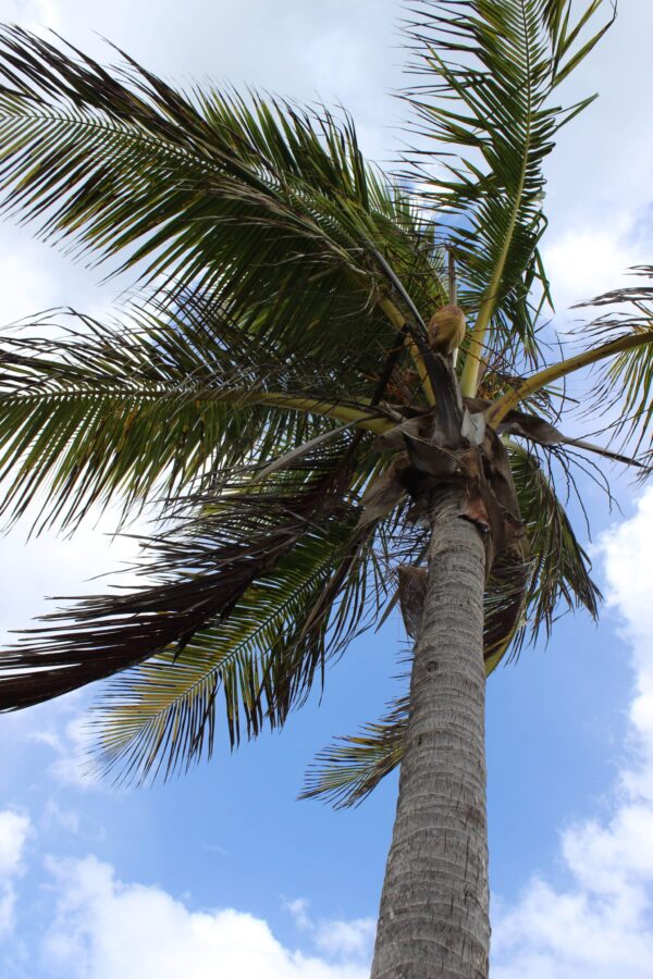 Vacation Rentals near Sapphire Beach